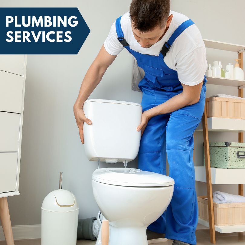 Plumbing Company in Vernon, MI
